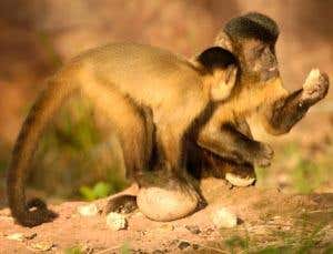 New Scientist. Science news and long reads from expert journalists, covering developments in science, technology, health and the environment on the website and the magazine.