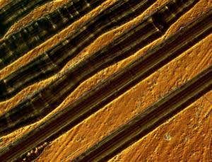 New Scientist. Science news and long reads from expert journalists, covering developments in science, technology, health and the environment on the website and the magazine.