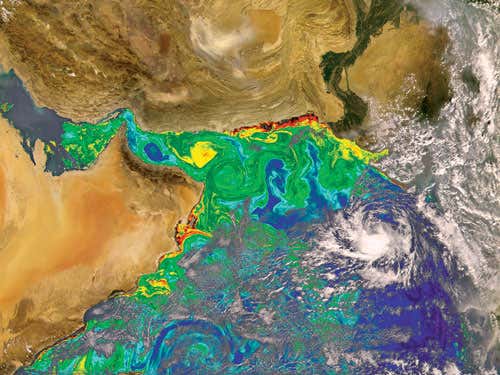 New Scientist. Science news and long reads from expert journalists, covering developments in science, technology, health and the environment on the website and the magazine.