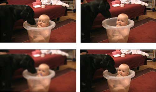 Pictures A and B make a perfect D