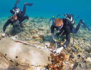 New Scientist. Science news and long reads from expert journalists, covering developments in science, technology, health and the environment on the website and the magazine.