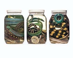 New Scientist. Science news and long reads from expert journalists, covering developments in science, technology, health and the environment on the website and the magazine.