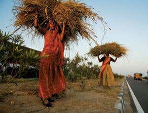 New Scientist. Science news and long reads from expert journalists, covering developments in science, technology, health and the environment on the website and the magazine.
