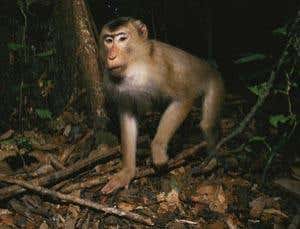 New Scientist. Science news and long reads from expert journalists, covering developments in science, technology, health and the environment on the website and the magazine.