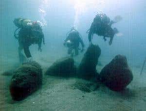 New Scientist. Science news and long reads from expert journalists, covering developments in science, technology, health and the environment on the website and the magazine.