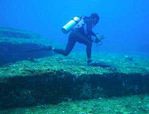 New Scientist. Science news and long reads from expert journalists, covering developments in science, technology, health and the environment on the website and the magazine.