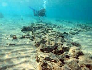 New Scientist. Science news and long reads from expert journalists, covering developments in science, technology, health and the environment on the website and the magazine.