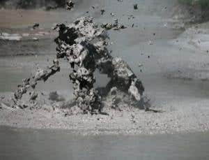 New Scientist. Science news and long reads from expert journalists, covering developments in science, technology, health and the environment on the website and the magazine.