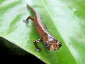 2009 review: It's the environment, stupid