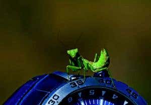 Calendar competition: the winners