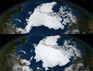 New Scientist. Science news and long reads from expert journalists, covering developments in science, technology, health and the environment on the website and the magazine.