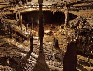 New Scientist. Science news and long reads from expert journalists, covering developments in science, technology, health and the environment on the website and the magazine.