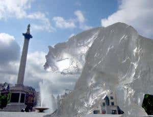 Ice Bear Project 2009: Readers' photos