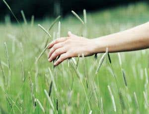 New Scientist. Science news and long reads from expert journalists, covering developments in science, technology, health and the environment on the website and the magazine.