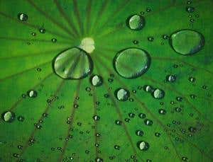 New Scientist. Science news and long reads from expert journalists, covering developments in science, technology, health and the environment on the website and the magazine.