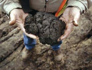 Extreme oil: Scraping the bottom of Earth's barrel