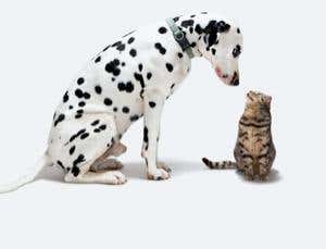 New Scientist. Science news and long reads from expert journalists, covering developments in science, technology, health and the environment on the website and the magazine.