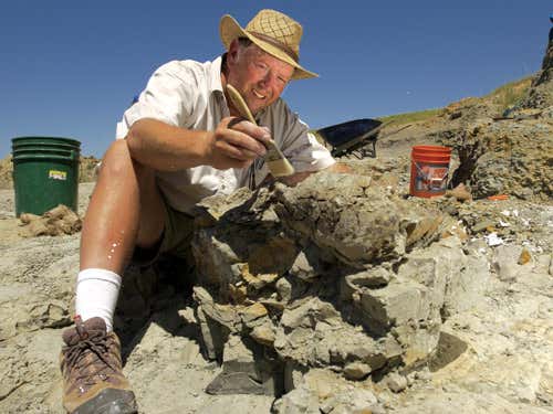 Nate Murphy doing what he did best - unearthing dinosaus