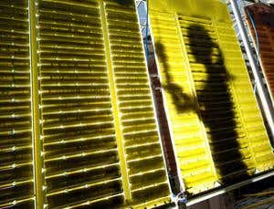 New Scientist. Science news and long reads from expert journalists, covering developments in science, technology, health and the environment on the website and the magazine.