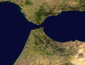 New Scientist. Science news and long reads from expert journalists, covering developments in science, technology, health and the environment on the website and the magazine.