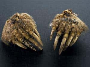 New Scientist. Science news and long reads from expert journalists, covering developments in science, technology, health and the environment on the website and the magazine.