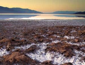 New Scientist. Science news and long reads from expert journalists, covering developments in science, technology, health and the environment on the website and the magazine.