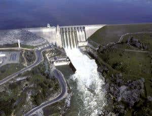 New Scientist. Science news and long reads from expert journalists, covering developments in science, technology, health and the environment on the website and the magazine.