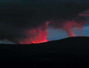 New Scientist. Science news and long reads from expert journalists, covering developments in science, technology, health and the environment on the website and the magazine.