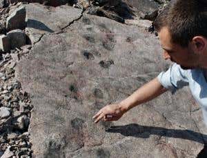 New Scientist. Science news and long reads from expert journalists, covering developments in science, technology, health and the environment on the website and the magazine.