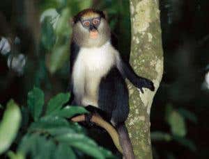 New Scientist. Science news and long reads from expert journalists, covering developments in science, technology, health and the environment on the website and the magazine.