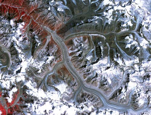 New Scientist. Science news and long reads from expert journalists, covering developments in science, technology, health and the environment on the website and the magazine.