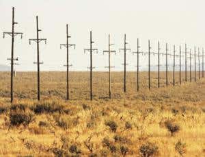 New Scientist. Science news and long reads from expert journalists, covering developments in science, technology, health and the environment on the website and the magazine.