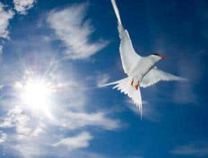 New Scientist. Science news and long reads from expert journalists, covering developments in science, technology, health and the environment on the website and the magazine.