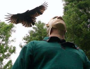 New Scientist. Science news and long reads from expert journalists, covering developments in science, technology, health and the environment on the website and the magazine.