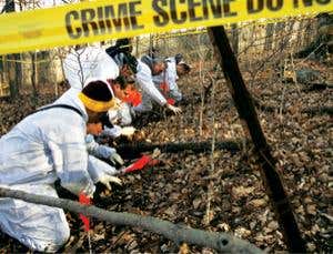 New Scientist. Science news and long reads from expert journalists, covering developments in science, technology, health and the environment on the website and the magazine.