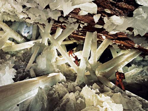 New Scientist. Science news and long reads from expert journalists, covering developments in science, technology, health and the environment on the website and the magazine.