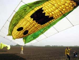 New Scientist. Science news and long reads from expert journalists, covering developments in science, technology, health and the environment on the website and the magazine.