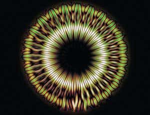 Seeing the songs of whales