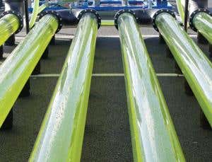 New Scientist. Science news and long reads from expert journalists, covering developments in science, technology, health and the environment on the website and the magazine.