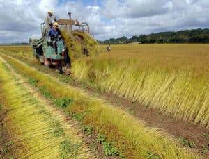 New Scientist. Science news and long reads from expert journalists, covering developments in science, technology, health and the environment on the website and the magazine.