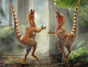 Feathered dinosaurs show their true colours