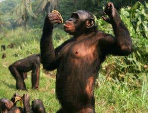 New Scientist. Science news and long reads from expert journalists, covering developments in science, technology, health and the environment on the website and the magazine.