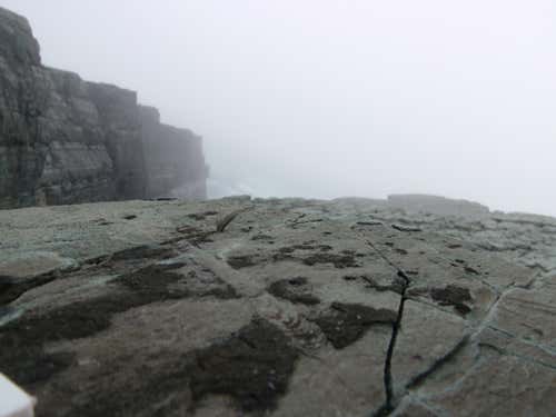 The tracks were found at Missing Point, in Newfoundland, Canada – a site which is famous among palaeontologists for harbouring the remains of the first large complex life forms to evolve, known as Ediacarans.  