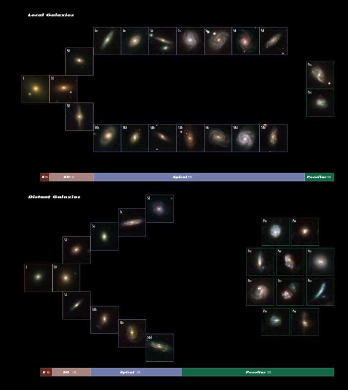 Many more 'peculiar' galaxies (marked