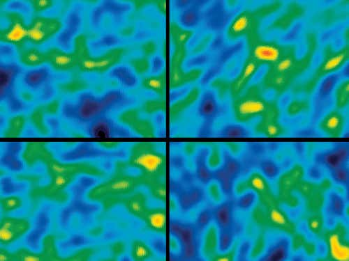 We saw an intergalactic zoo.  Clockwise from top left: Phoenix, a donkey, a parrot and a deer  