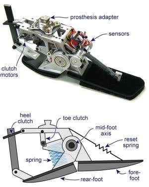 New Scientist. Science news and long reads from expert journalists, covering developments in science, technology, health and the environment on the website and the magazine.