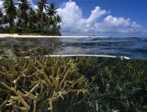 New Scientist. Science news and long reads from expert journalists, covering developments in science, technology, health and the environment on the website and the magazine.