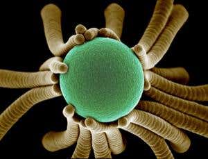 Visualization Challenge: Prizewinning pictures