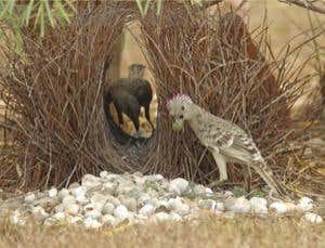 New Scientist. Science news and long reads from expert journalists, covering developments in science, technology, health and the environment on the website and the magazine.