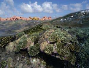 New Scientist. Science news and long reads from expert journalists, covering developments in science, technology, health and the environment on the website and the magazine.